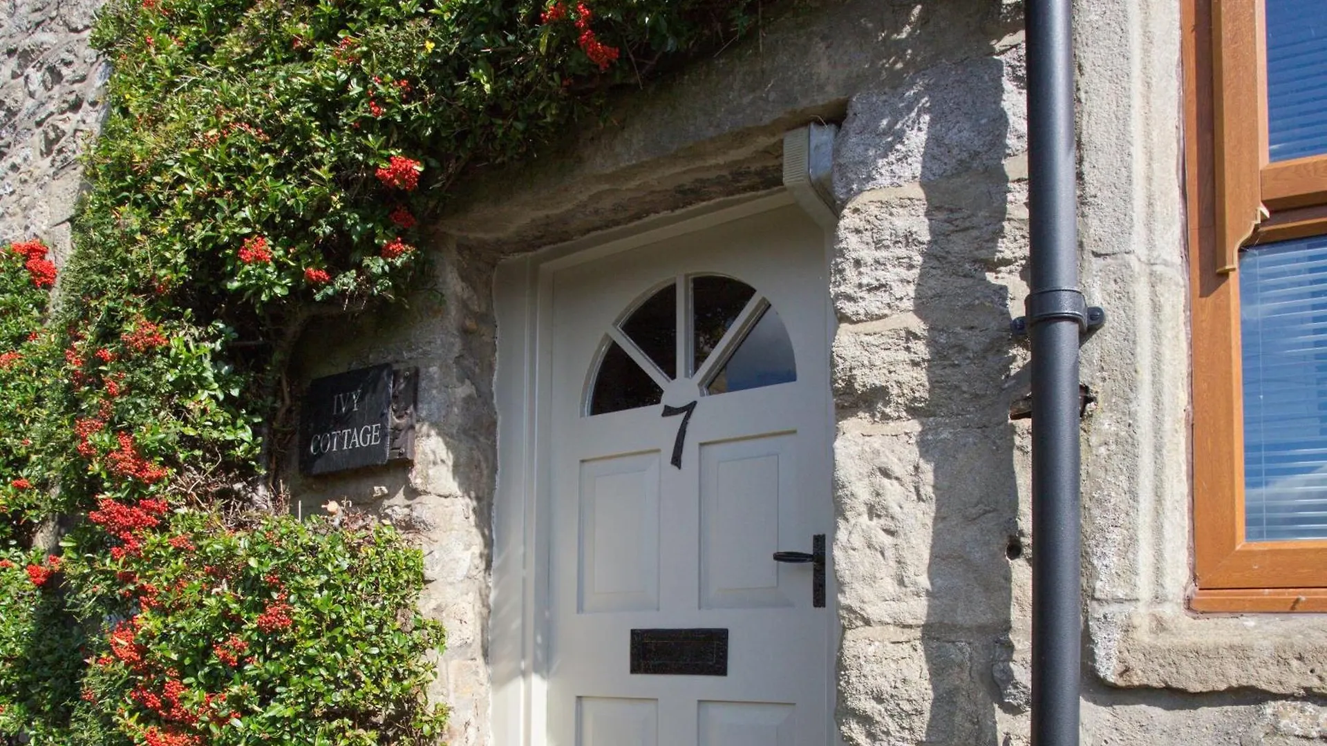 Ivy Cottage Сеттл 0*,